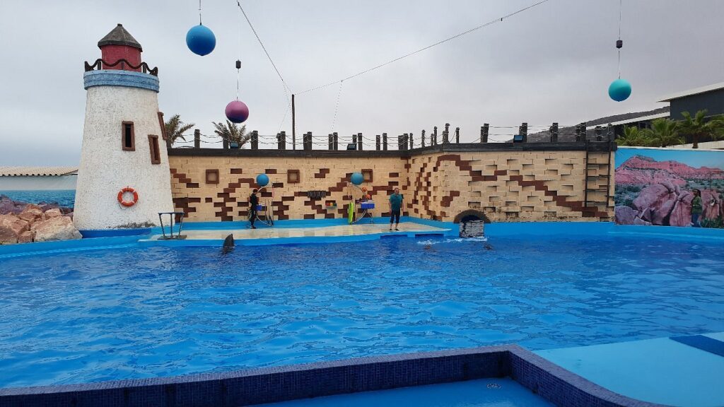 20190901-114436-largejpg
