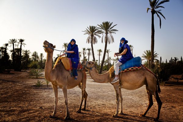 Camel-ride-600×400-1