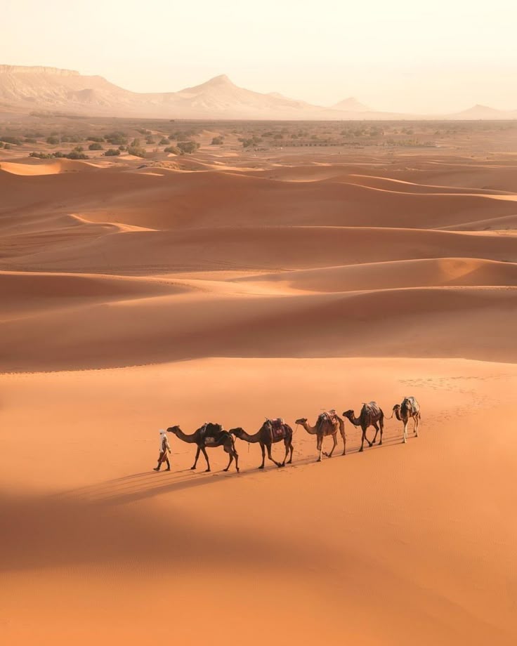 Few countries hold as much dreamy fascination for…