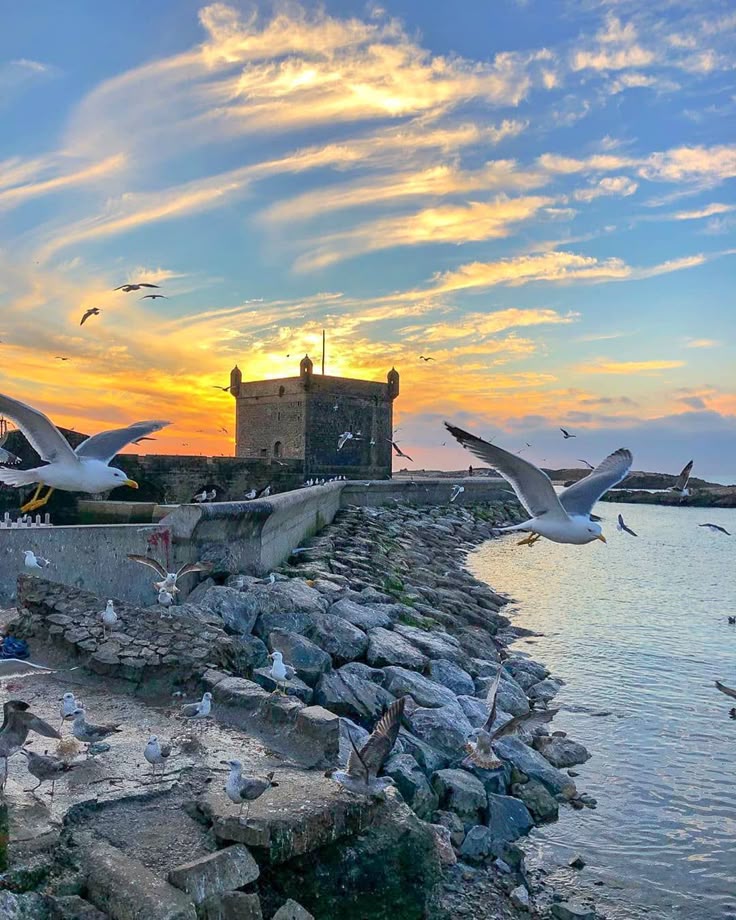 MOROCCO on Instagram_ “Sunset over the Fishing… (2)