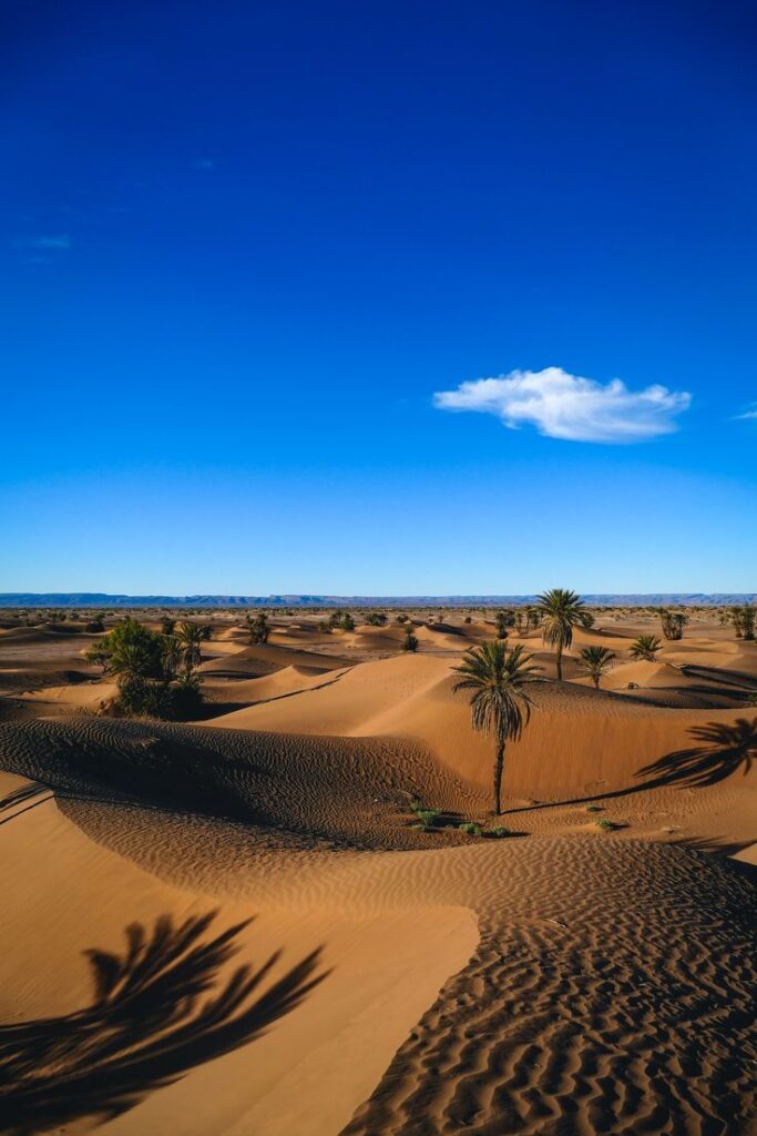 Partir en trek dans le désert marocain