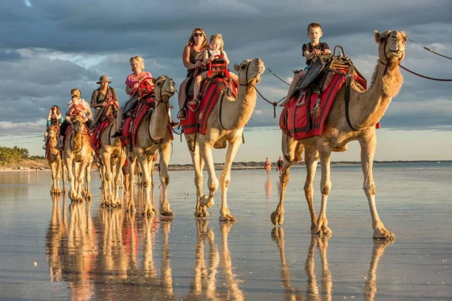 agadir-or-taghazout-camel-ride-experience-in-river-or-beach