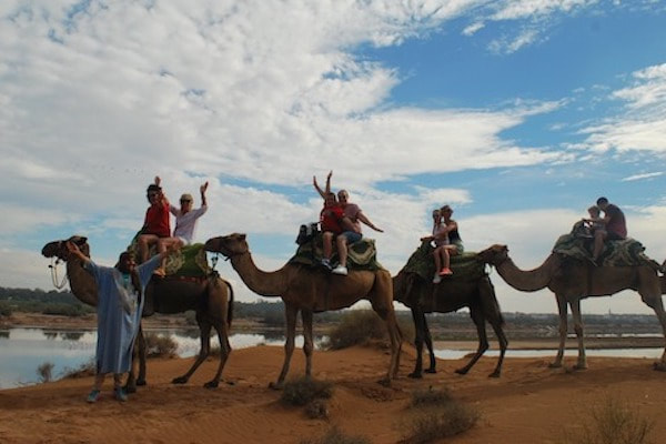 camel-ride-in-agadir-and-taghazout