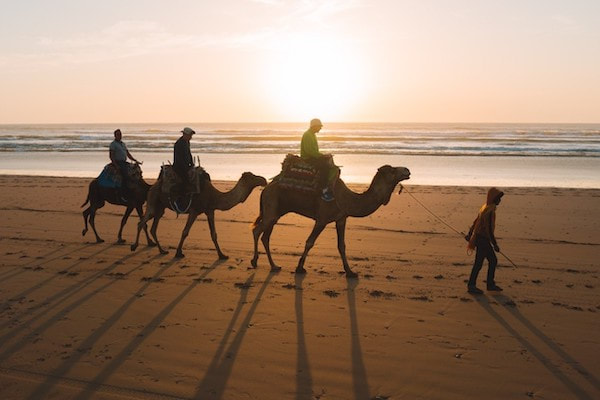 camel-ride-in-agadir-taghazout-morocco