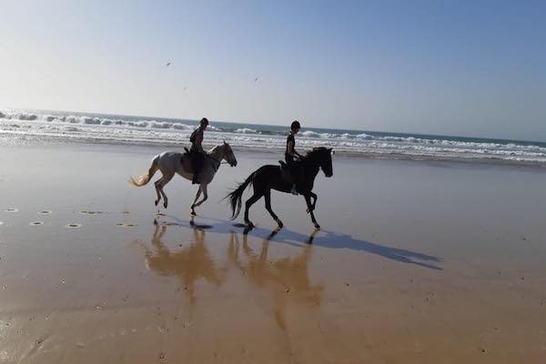horse-ride-agadir-taghazout