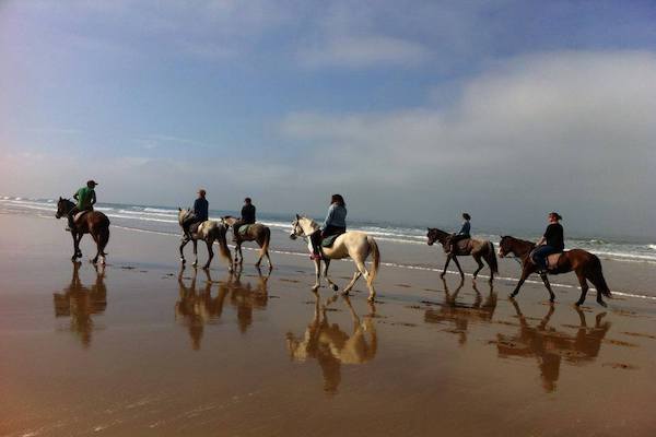 horse-ride-in-taghazout-ns_2